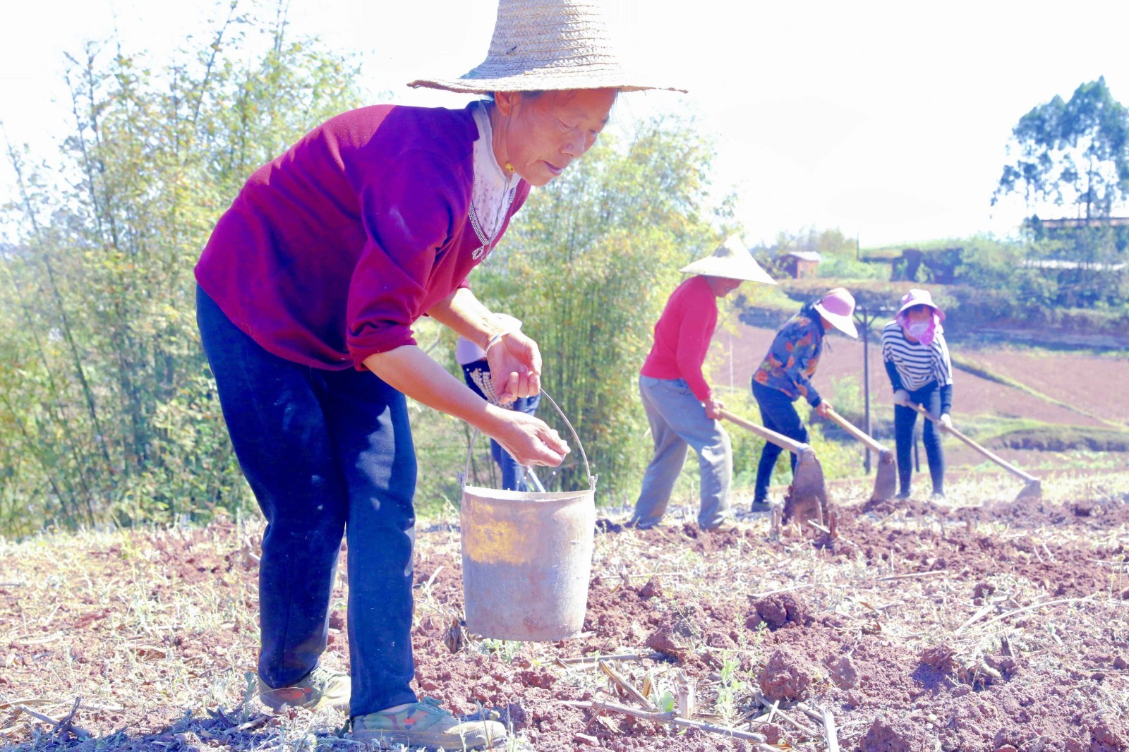宝头涯稼法,揭秘SEO优化策略与技巧,揭秘SEO优化策略与技巧,宝头涯稼法详解