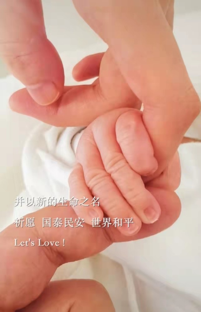 揭秘藏抓伤海事件,背后隐藏的真相与数字背后的故事,揭秘藏抓伤海事件真相与数字背后的故事