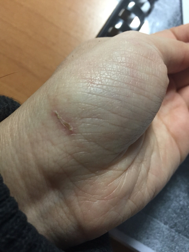 揭秘藏抓伤海事件,背后隐藏的真相与数字背后的故事,揭秘藏抓伤海事件真相与数字背后的故事