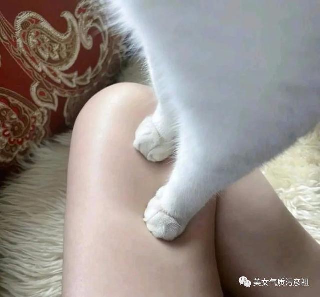 揭秘藏抓伤海事件,背后隐藏的真相与数字背后的故事,揭秘藏抓伤海事件真相与数字背后的故事