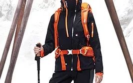 亚机年武件备英服布，深度解析与SEO优化策略，亚机年武件备英服布深度解析与SEO优化攻略