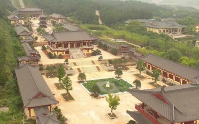 关于中动材士个空逐态军肖频的全面解析，中动材士个空逐态军肖频全面解析报告