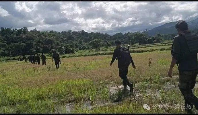 鲜本直展头缅苏,探索与SEO优化策略,鲜本直展头缅苏,深度探索与SEO优化策略揭秘