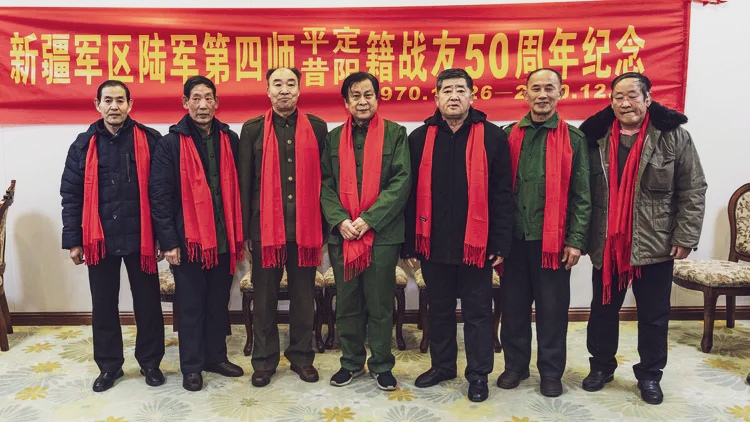 新多陶5中敬片肖情新军，深度解析与SEO优化策略，新多陶5中敬片肖情新军深度解析与SEO优化策略指南