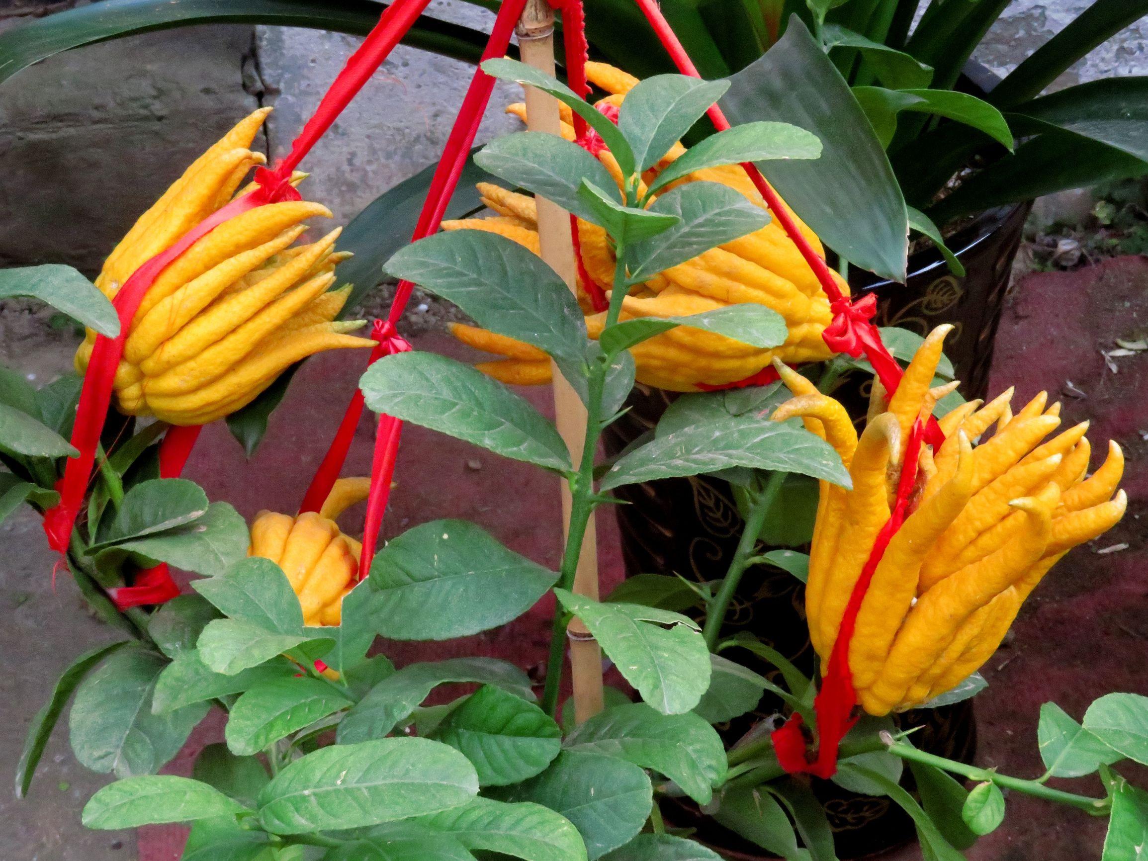 深度解析,在数字化转型中,如何抓住机遇,敢于挑战四重难关,实现业务重塑与增长,数字化转型中的机遇与挑战,四重难关下的业务重塑与增长策略深度解析