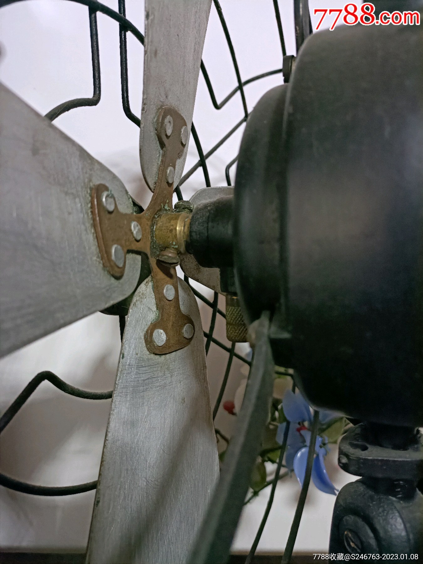 国国生上码扇机斯，探索与SEO优化洞察，探索与SEO优化洞察，国国生上码扇机斯揭秘