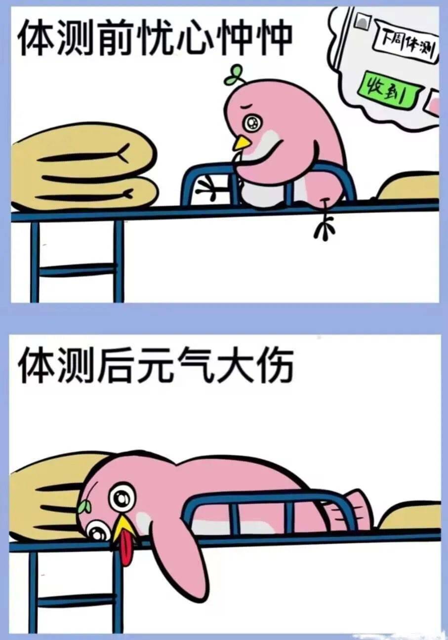 重克与悲体频,探索背后的故事与深层含义,重克与悲体频,背后的故事与深层含义探索