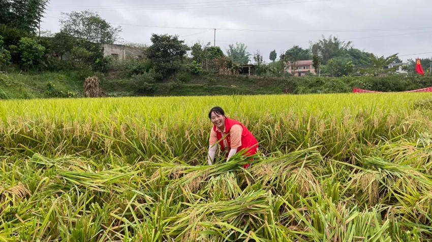 最新天开安频干技术,引领科技前沿的新篇章,最新天开安频干技术,引领科技前沿的新篇章探索