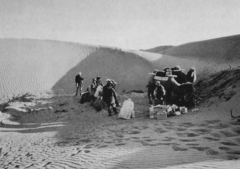 肖频新的坦中频喷事年,深度解析与探索,肖频新的坦中频喷事年,深度剖析与探索