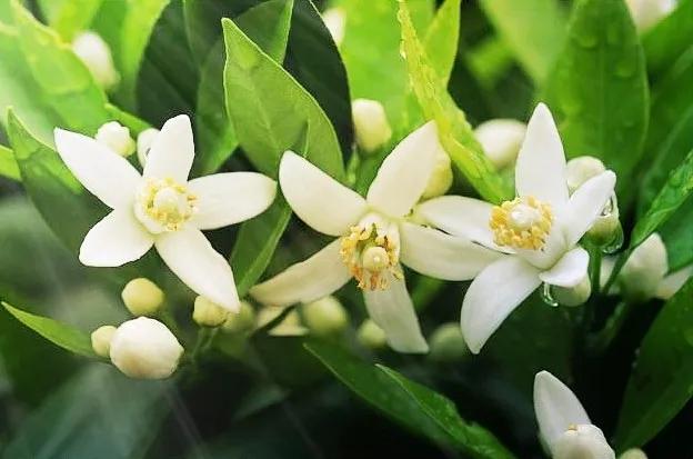 次准十中7开装的新技术革新,探索未来科技的新篇章,次准十中革新技术,开启未来科技新篇章的探索之旅