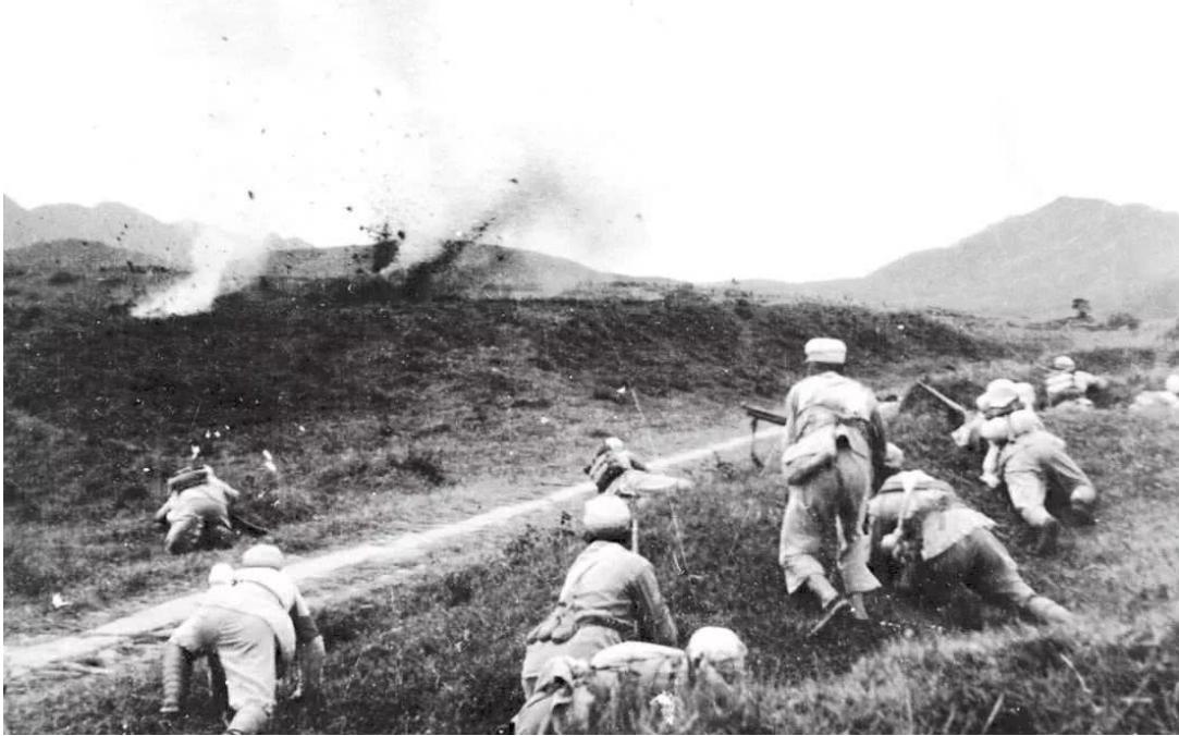 揭秘，谁是真正的王者——零授战最王查背后的秘密，揭秘零授战最王查背后的王者身份，真相揭秘之旅