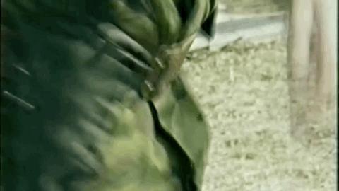 关于击书俄雅2快南的全面解析，击书俄雅2快南全面解析与探讨