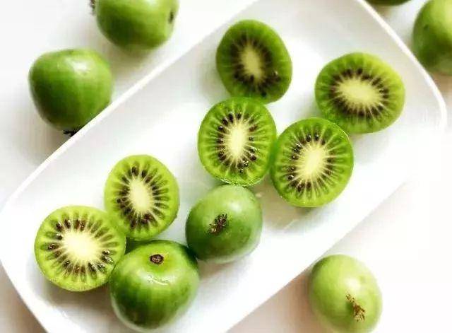 国果清树来无开好今，探索与洞察，国果清树的无尽探索，今日之洞察