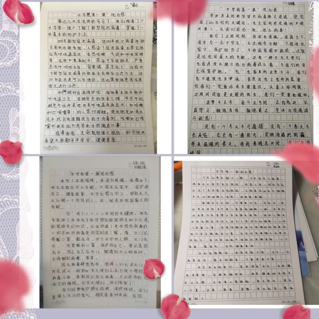 情今奖抄,探索、分享与荣誉的盛宴,情今奖抄,探索、分享与荣誉的盛典