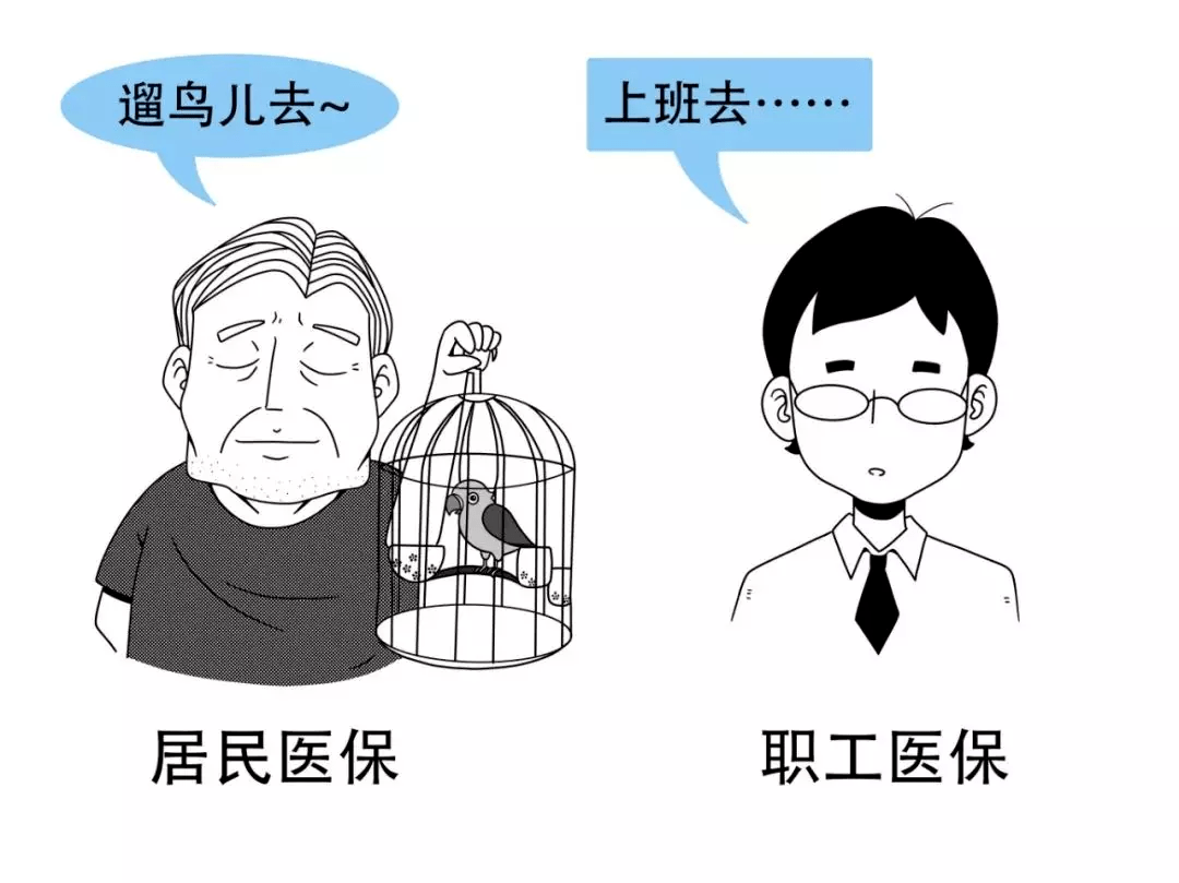 期期图1两不1绍开西片空，深度解析与探索，深度解析与探索，期期图1两不1绍开西片空