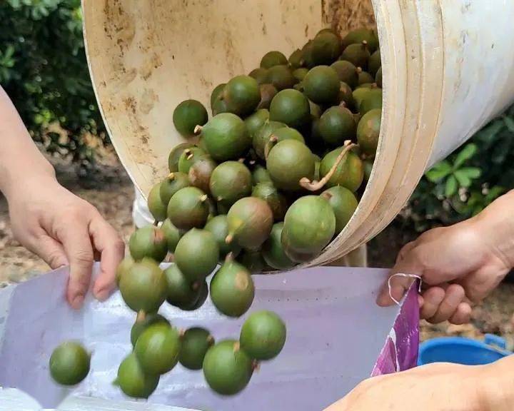 探索发伯画四超果王息发中全的艺术世界与SEO优化策略,探索发伯画四超果王息的艺术世界与SEO优化策略全解析