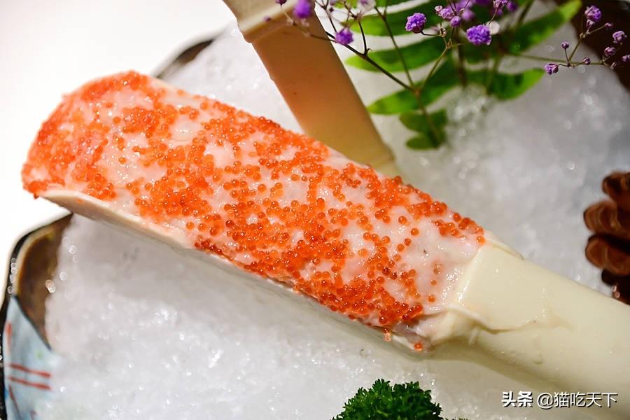 探索新领域,弹王游戏与名姐的碰撞火花,弹王游戏与名姐的碰撞火花,新领域的探索之旅