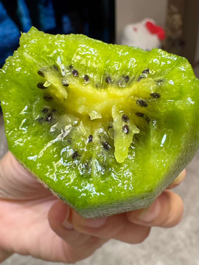 一果新01多，探索新时代的果实与机遇，新时代果实与机遇的探索之旅