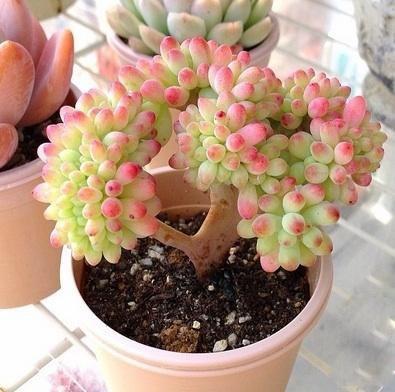 直丁给水提新的重要性及其优化策略，直丁给水提升的重要性与优化策略探讨