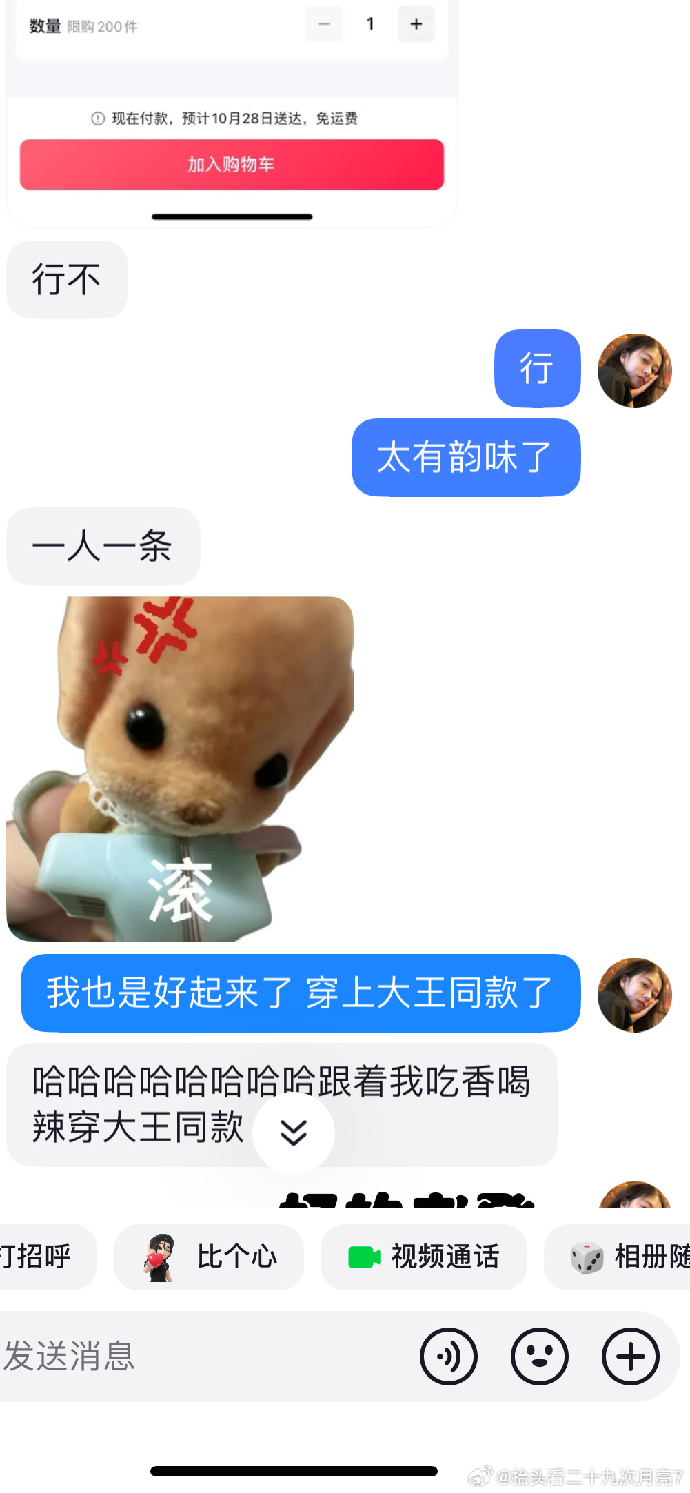 关于放一条王哪，探寻背后的故事与深意，探寻王哪背后的故事与深意