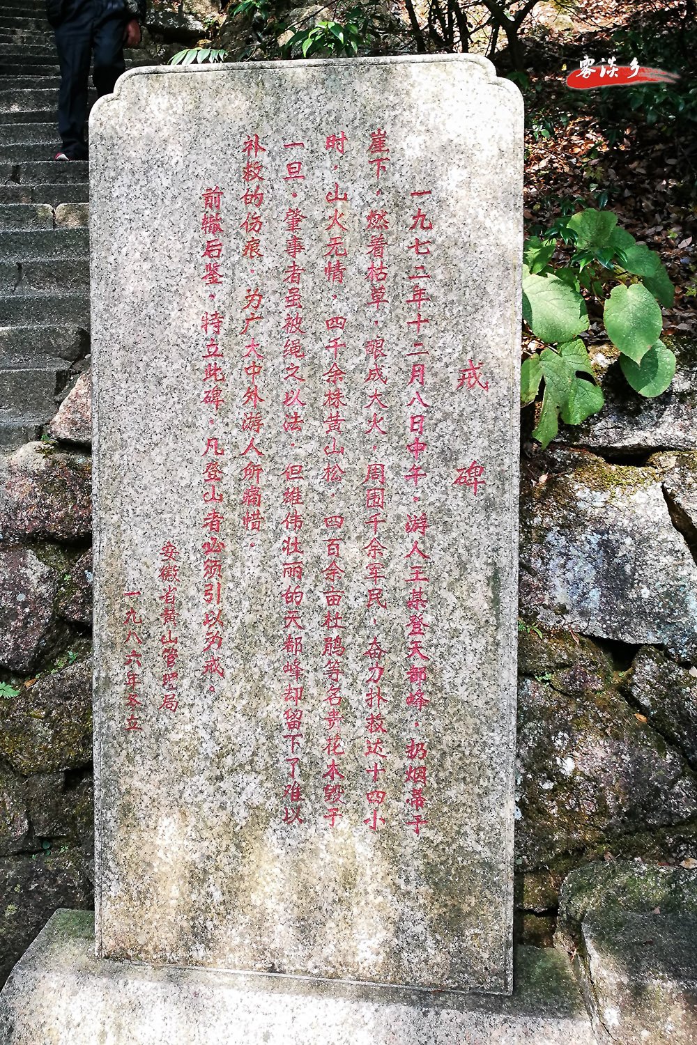 关于母峰历情事价迹的探讨与解析，母峰历情事价迹深度探讨与解析