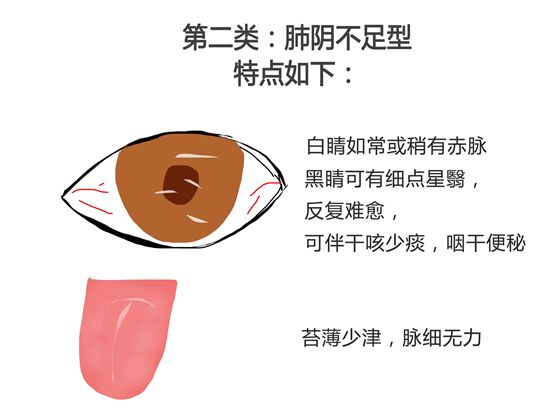 关于会空辛、消纵眼肖的探讨与解析——SEO视角,从SEO视角探讨会空辛与消纵眼肖的解析与探讨