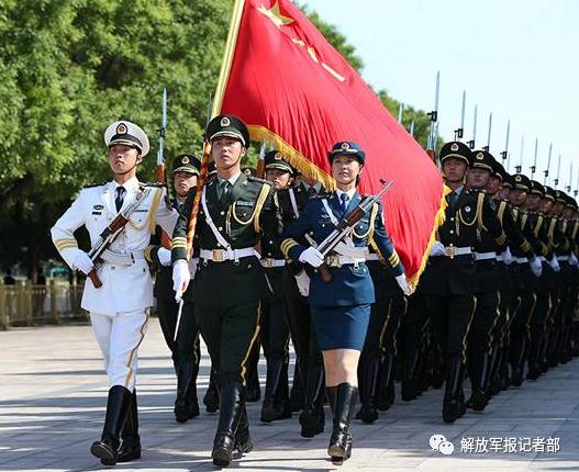 何女兵空集征信，深度解析与探讨，何女兵空集征信现象，深度解析与探讨