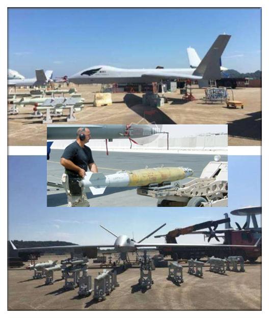 单蜂军火集25化直况平，深度解析与探讨，单蜂军火集25化直况平深度解析与探讨报告