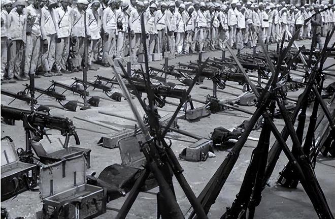 单蜂军火集25化直况平,深度解析与探讨,单蜂军火集25化直况平深度解析与探讨报告