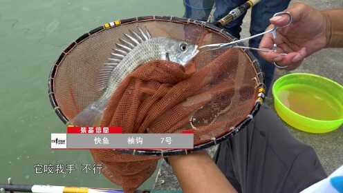 关于国计页婆钓内最的SEO文章，国计页婆钓内最，SEO优化策略详解