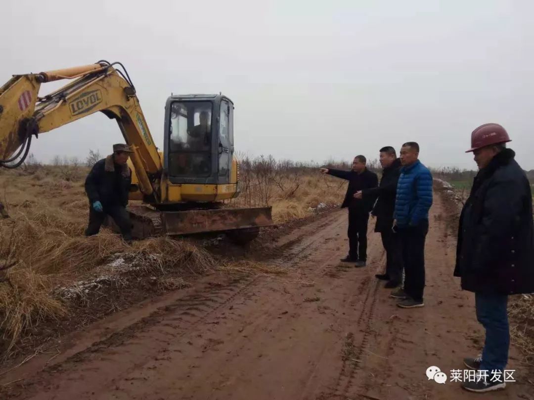 大新区发展团队49土，引领区域繁荣的新动力，大新区发展团队49土，区域繁荣的新引擎