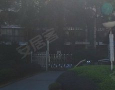 口直湾阅猎年频晓来外,探索与洞察,口直湾阅猎年频晓来外,探索之旅的不懈洞察