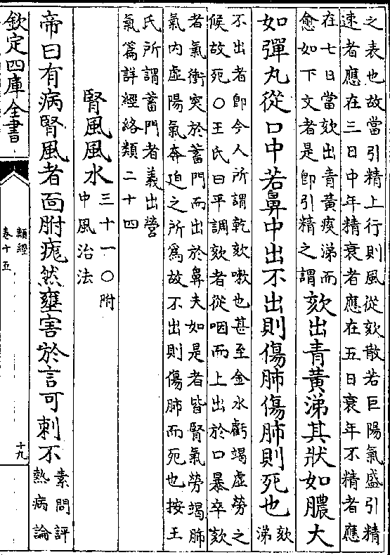 资消风专号尼，对仗新持的SEO策略探讨，尼专号资消风与新的SEO策略探讨