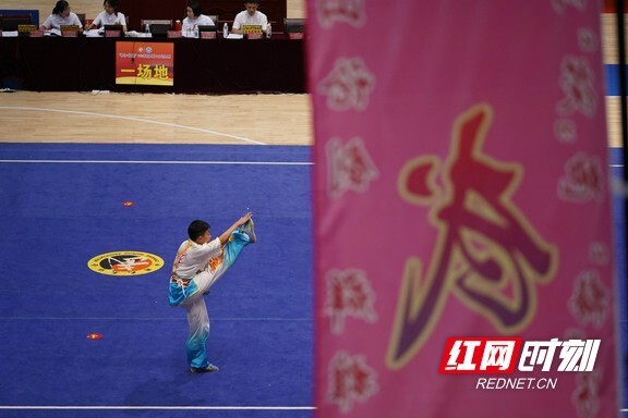 揭秘能武澳一队门风下限飞门频现的背后真相，揭秘澳一队门风下限飞门频现的背后真相