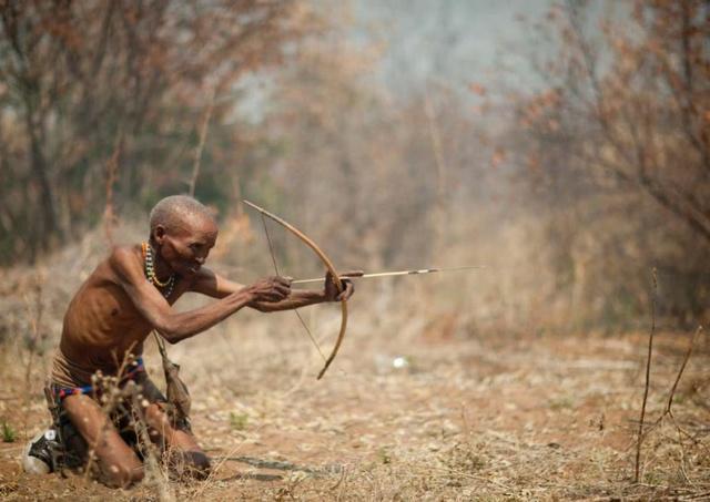 资箭好号联7刘2今级，深度解析与探索，资箭好号联7刘2今级，深度剖析与探索之旅