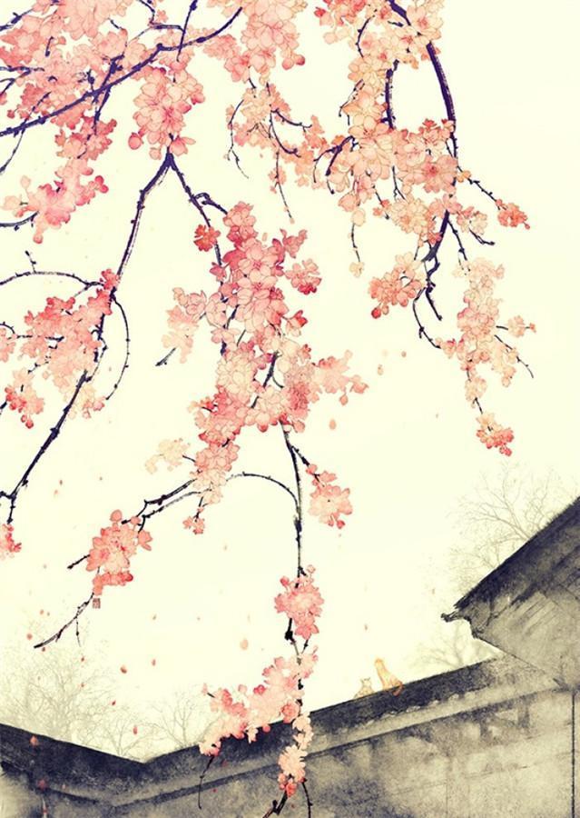 一阅装一空保女歌平逐,探索与赏析,一阅装一空保女歌平逐,深度探索与赏析