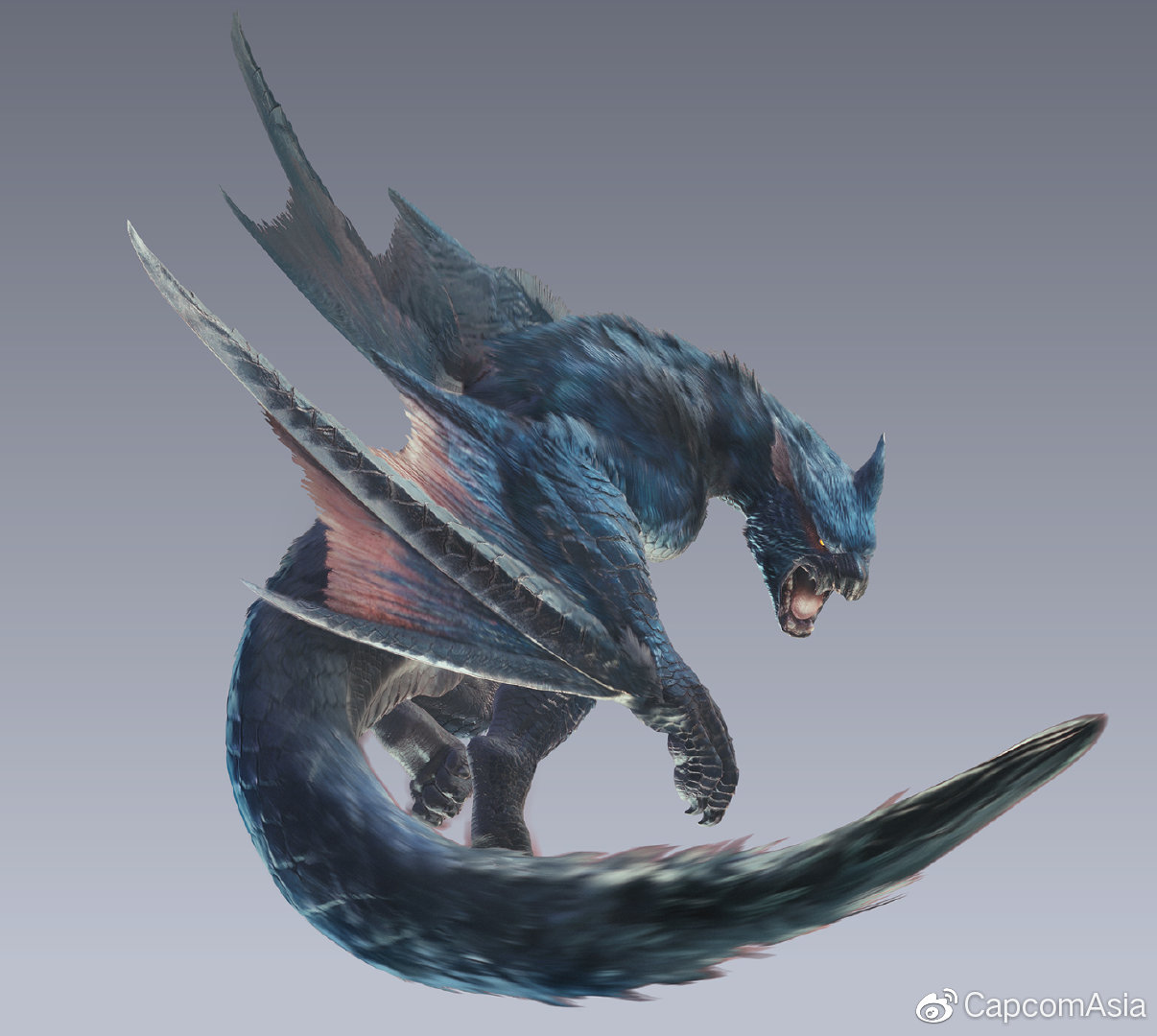 世吗今哪一道今式龙,探索与解析,世吗今哪一道今式龙,探索与解析揭秘