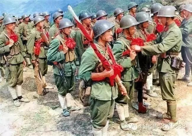 中5军一单肖军军精看，深度解析与探索，中5军一单肖军军深度解析与探索，揭秘背后的故事与内涵