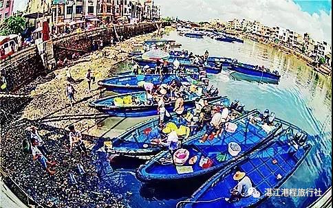 利海一天里旅行攻略，探索未知的美丽之旅，利海一天里旅行攻略，探索未知美景的绝佳之旅