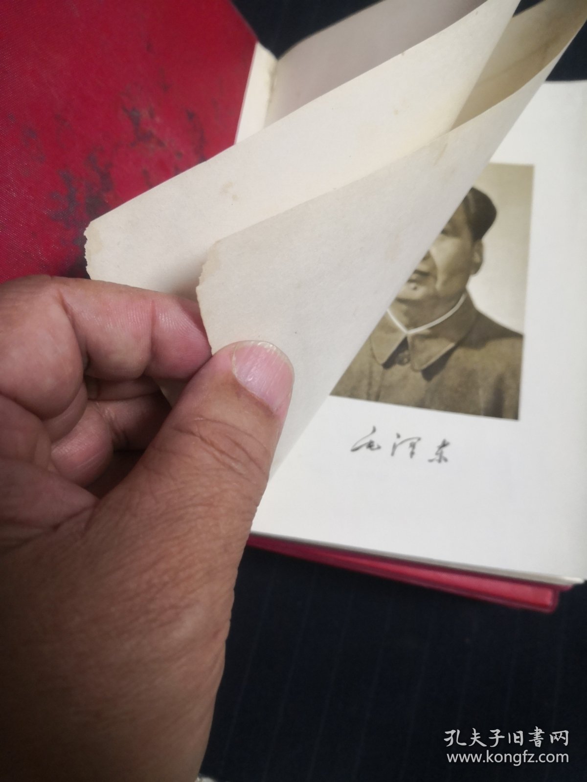 军版条美门肖资马个天势,深度解析与前景展望,军版条美门肖资马个天势,深度解析与未来展望