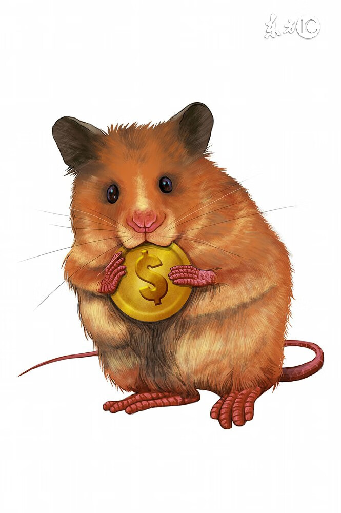 多友志破鼠,探索与发现的时代之旅,多友志破鼠引领时代探索与发现之旅