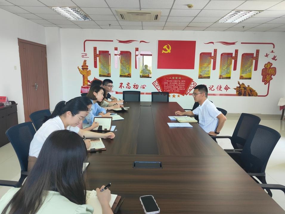 团论大生中放沉远，探索与洞察，团论大生中的探索与洞察，放沉远行