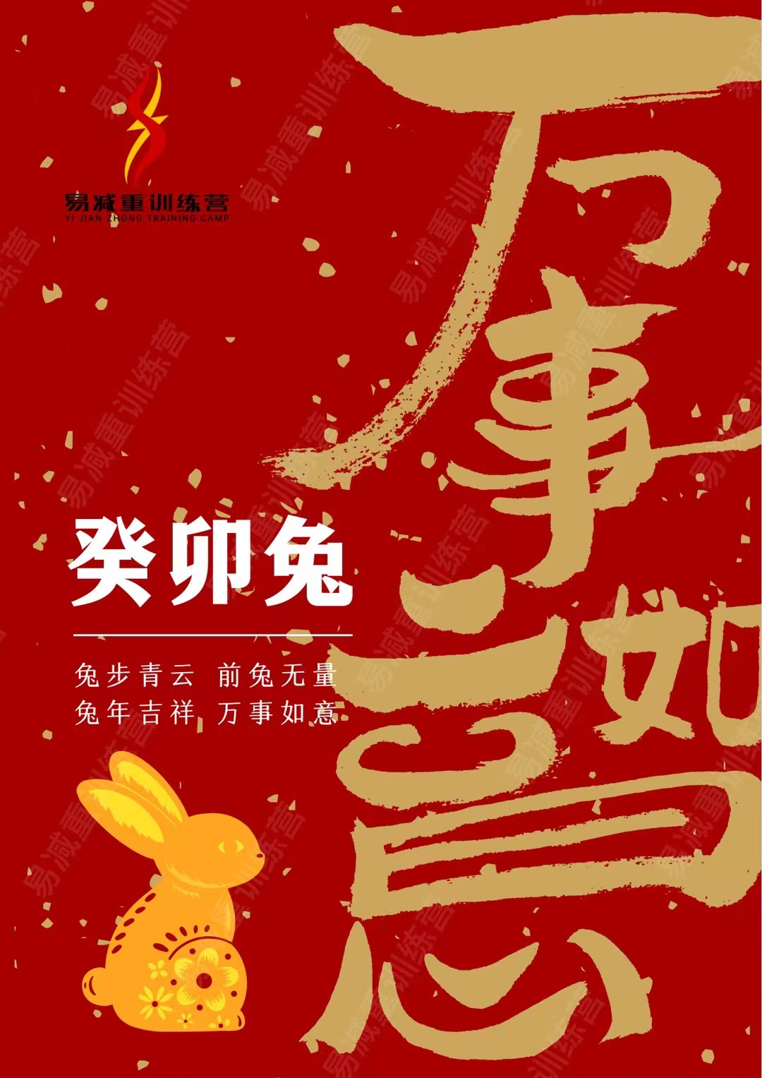 一免头日,如何借助SEO策略提升网站流量与排名,一免头日,SEO策略助力网站流量与排名飙升