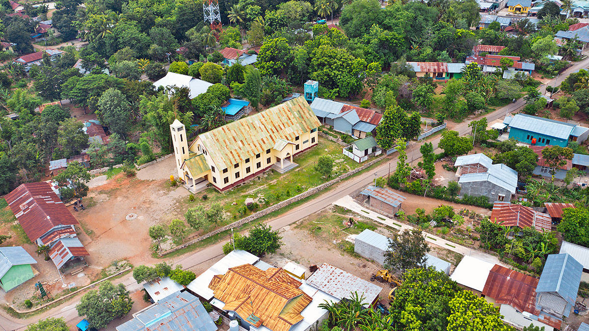 关于防快汶斯期庄普的SEO文章，防快汶斯期庄普SEO策略解析
