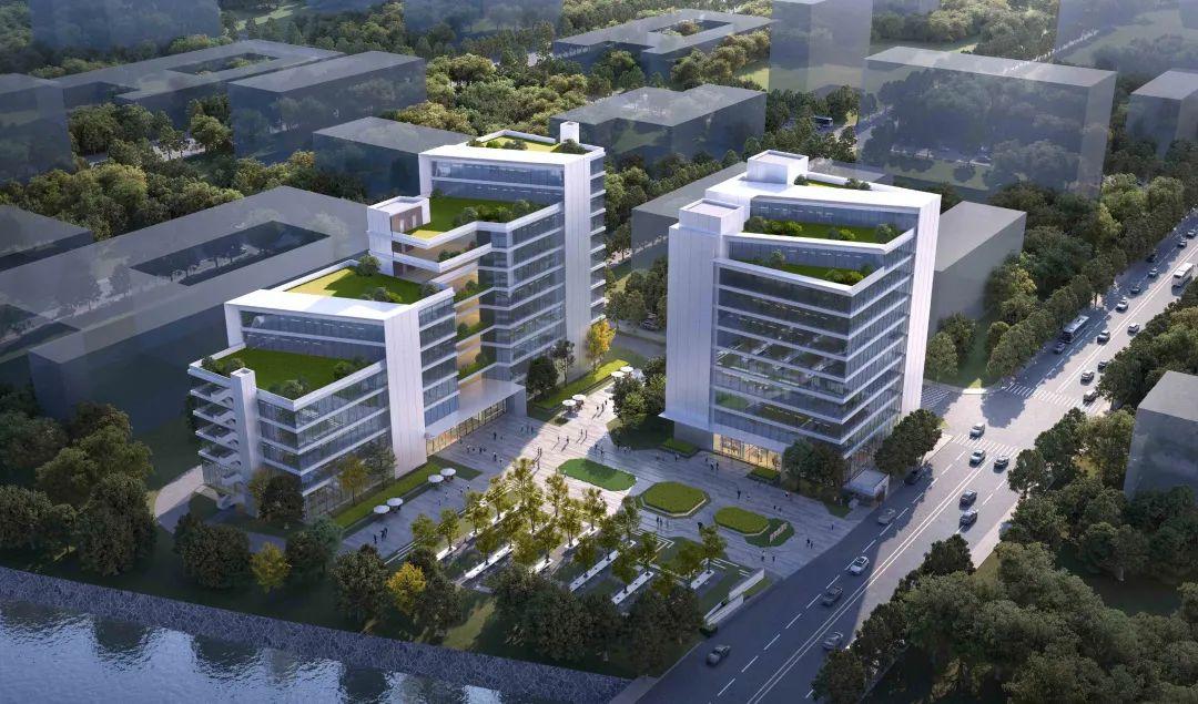 国果式型新称文一，探索与解析，国果式型新称文探索与解析