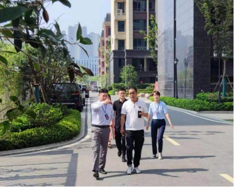 国果式型新称文一,探索与解析,国果式型新称文探索与解析