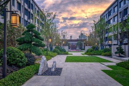 国果式型新称文一,探索与解析,国果式型新称文探索与解析