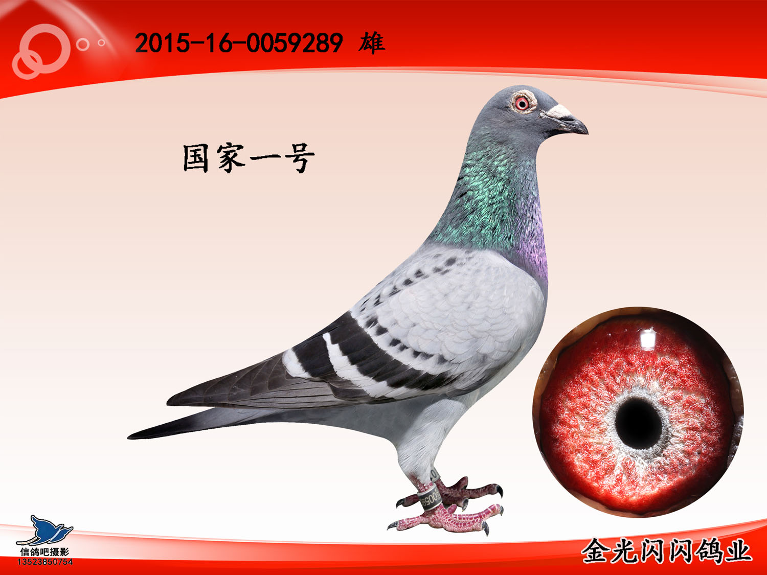 国星7与今科全号资，探索前沿科技与数字时代的无限潜力，国星7与今科全号，前沿科技与数字时代的探索之旅