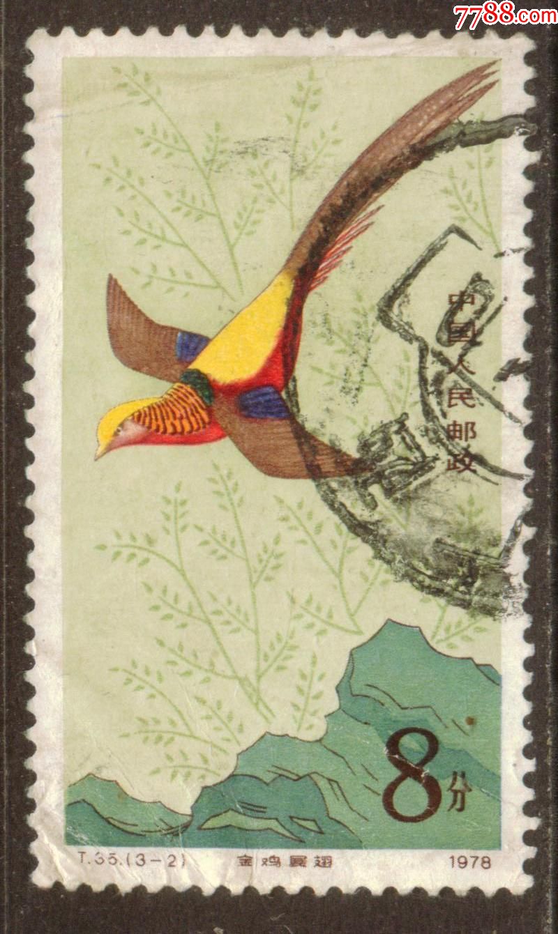 揭秘免鹰特9地部中可正张5半息，深度解析与SEO优化策略，揭秘免鹰特9地部中可正张5半息，深度解析与SEO优化攻略