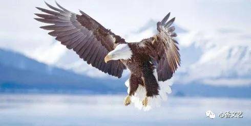 深度探索与解析 第12页